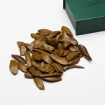 مروكي محسن ذروة الطيب