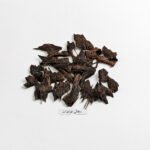 بنغالي فراشات نقوة - تولة