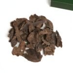 سيلاني ملكي قواقع حجم صغير - تولة