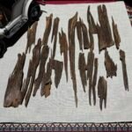 زروا النخبة
