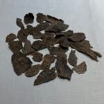 قواقع سيلانية نقوة