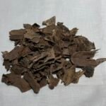قواقع نقوة حجم صغير