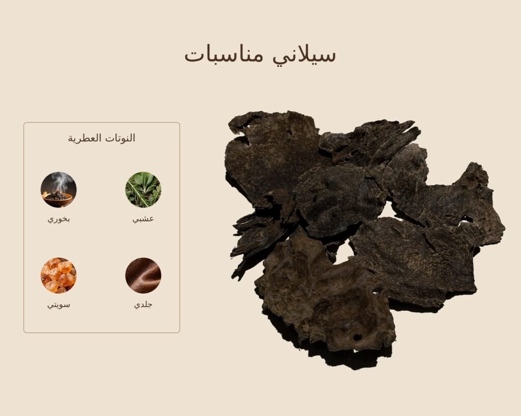 بخور سيلاني مناسبات — ذروة الطيب