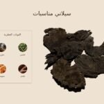 بخور سيلاني مناسبات — ذروة الطيب