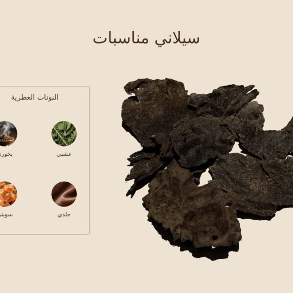 بخور سيلاني مناسبات — ذروة الطيب