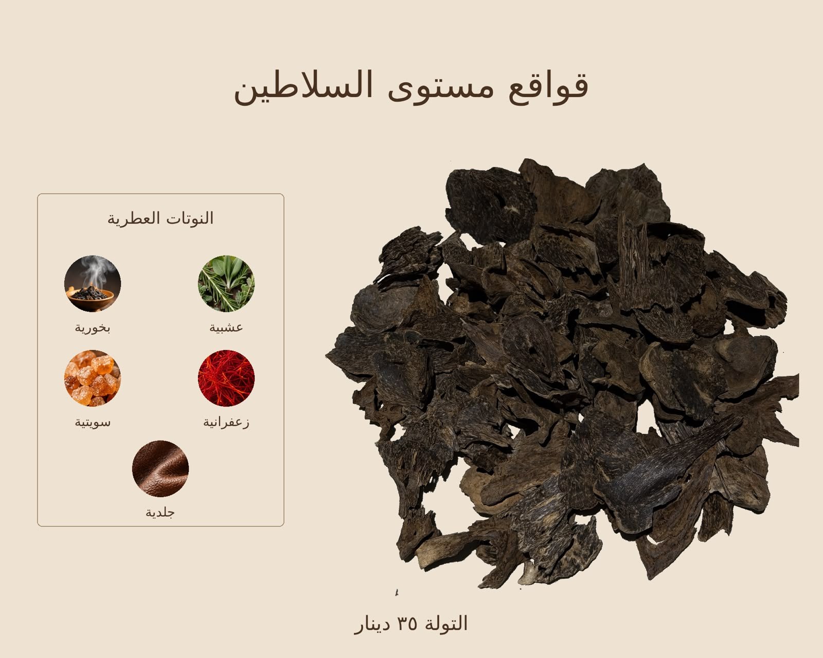 قواقع مستوى السلاطين بخور قواقع مستوى السلاطين — ذروة الطيب